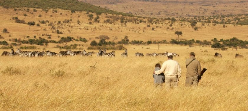 Guided safaris are ideal for family safaris