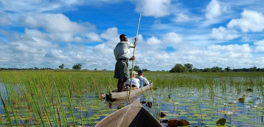 Mokoro Rides through the Okavango Delta