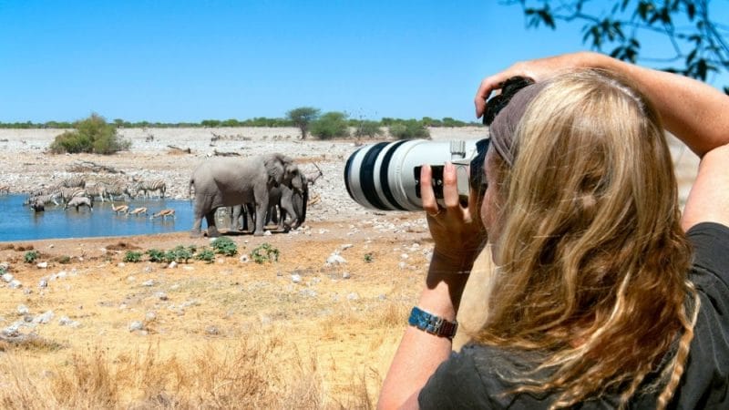 Photographic safaris in Namibia