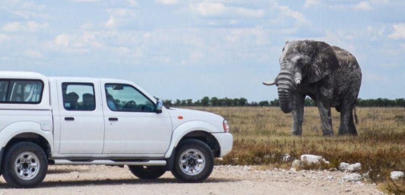 Self Drive Safari in Etosha National Park