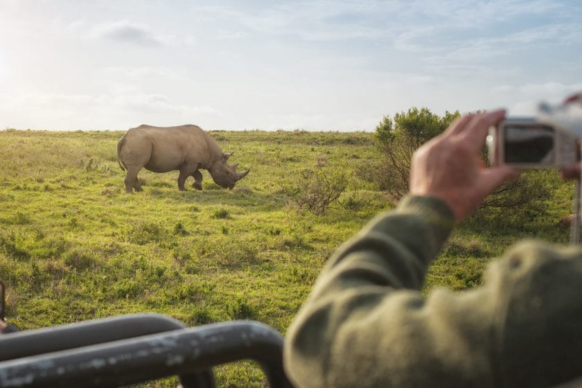 Tourist takes picture from black rhino on luxury off-road vehicle at safari in Africa