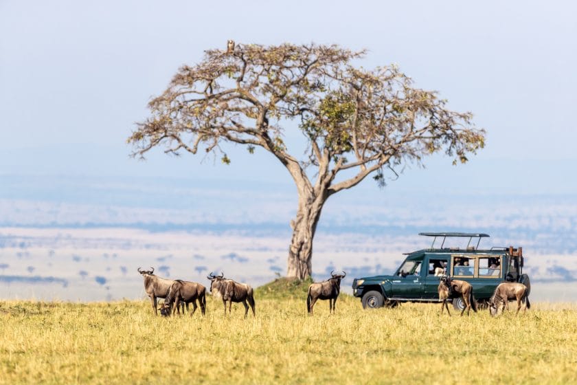 Safari vehicle in the Masai Mara