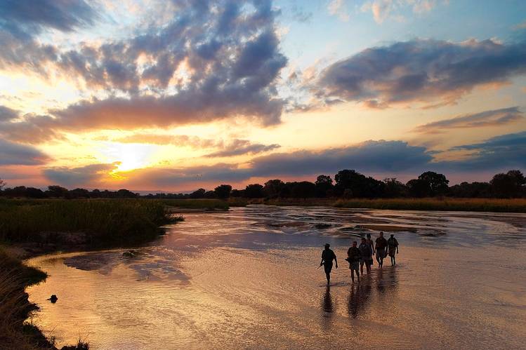 A walking safari gives a glimpse of nature in a completely new perspective, credit: Wall Street Journal